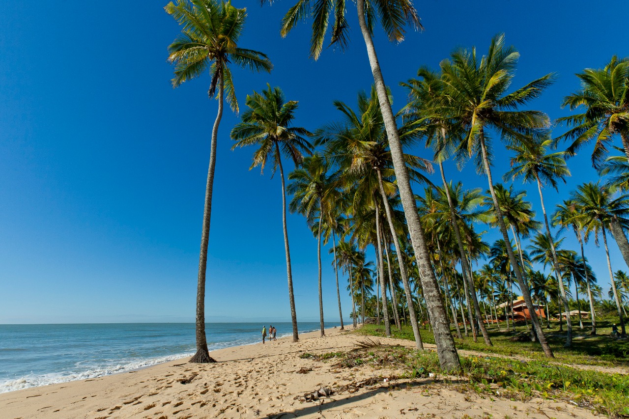 Programe-se para conhecer Barra do Cahy, a ‘primeira praia’ do Brasil