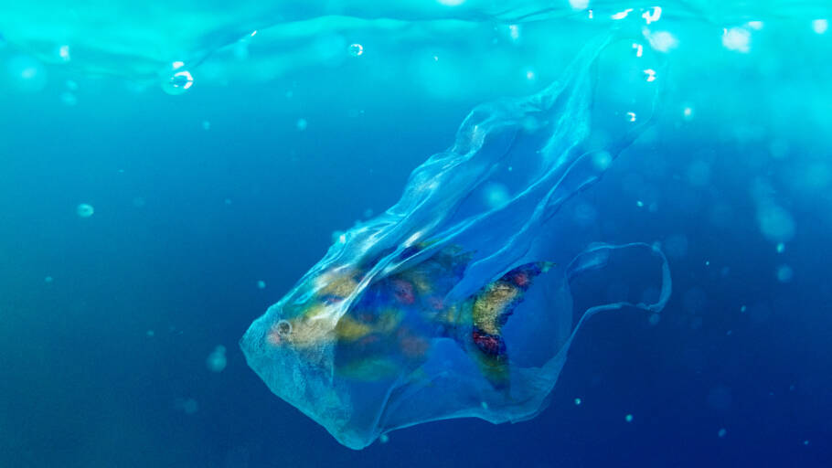 Estudo encontra microplástico em pulmão humano