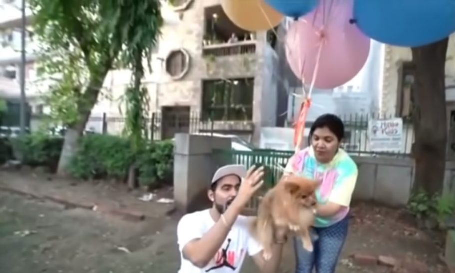 Youtuber faz cão ‘voar’ com balões de gás hélio e acaba preso