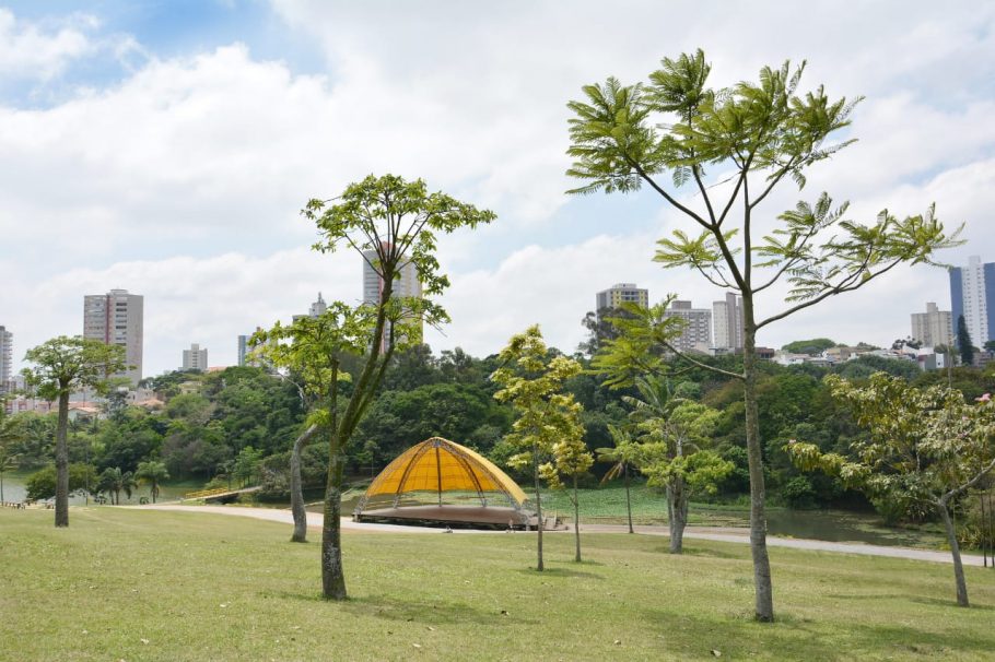 Tema deste ano são as árvores do Parque Central; fotos podem ser enviadas até 28 de agosto. Fotos: Helber Aggio/PSA