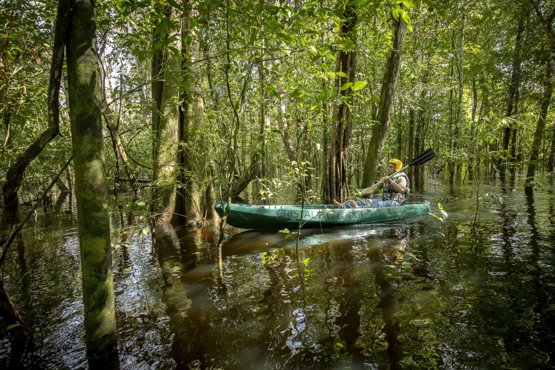 Conheça a floresta Amazônica pelas águas dos rios e afluentes que cortam a região – Divulgação
