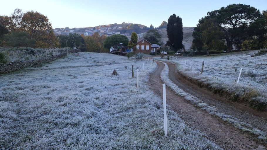 Massa polar faz a Serra Catarinense amanhecer congelada