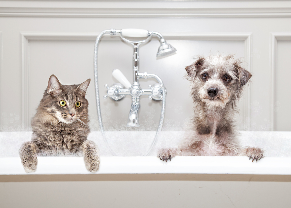 O que fazer na hora do banho em dias frios ? – iStock/Getty Images 