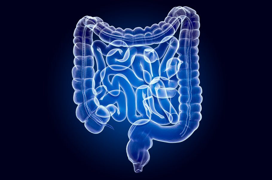  As causas da obstrução intestinal são diversas