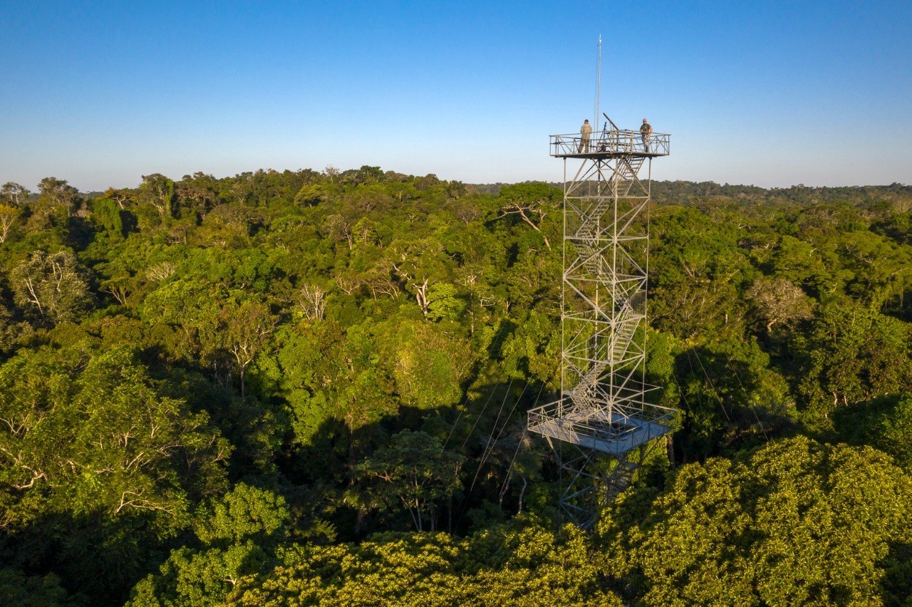 Imensidão da floresta Amazônica a 50 metros de altura – Divulgação
