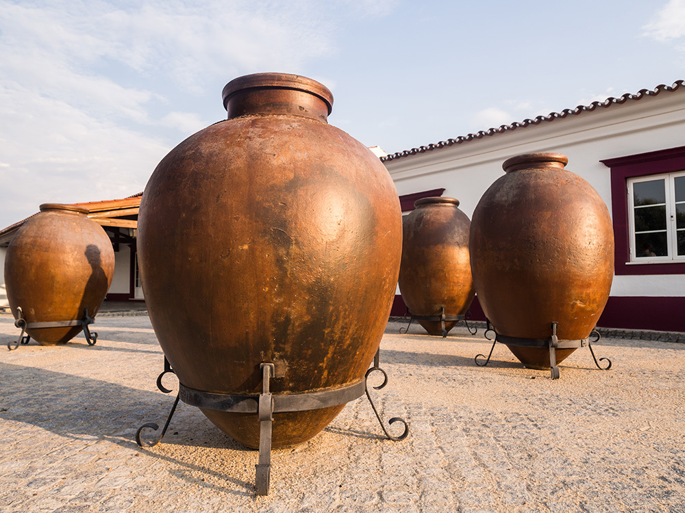 O vinho de talha é fermentado em grandes vasos de barro