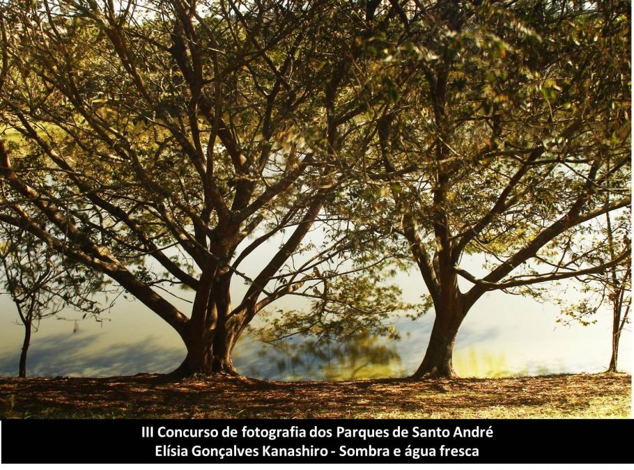 Foto vencedora “Sombra e Água Fresca” recebeu 338 votos (24% do total). Foto: Elísia Gonçalves Kanashiro.