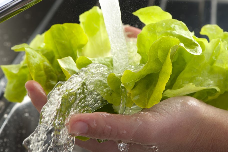 Água e alimentos contaminados podem causar a infecção