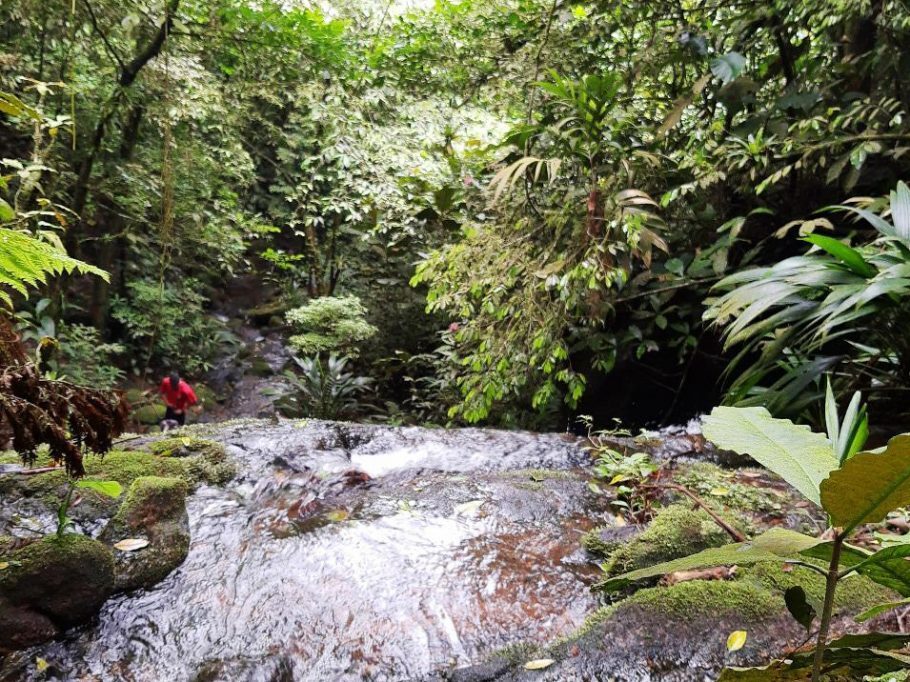 Trecho de 4 km de extensão é um dos destaques do turismo em Paranapiacaba. Foto: Divulgação/PSA.