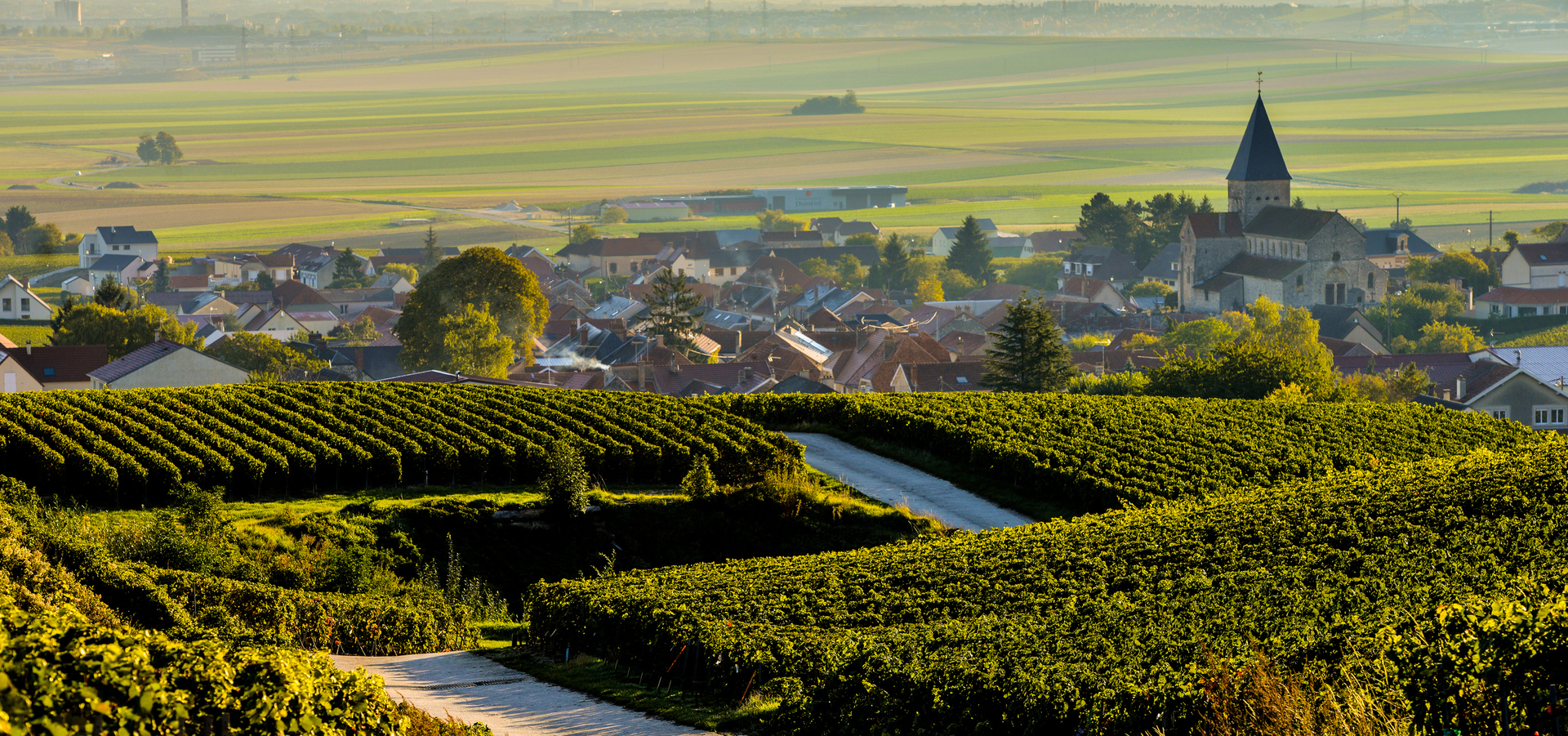 A região de Região de Champagne, na França, e seus belos vinhedos
