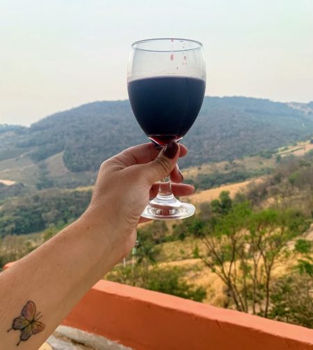 Um roteiro pelas vinícolas da Serra da Mantiqueira