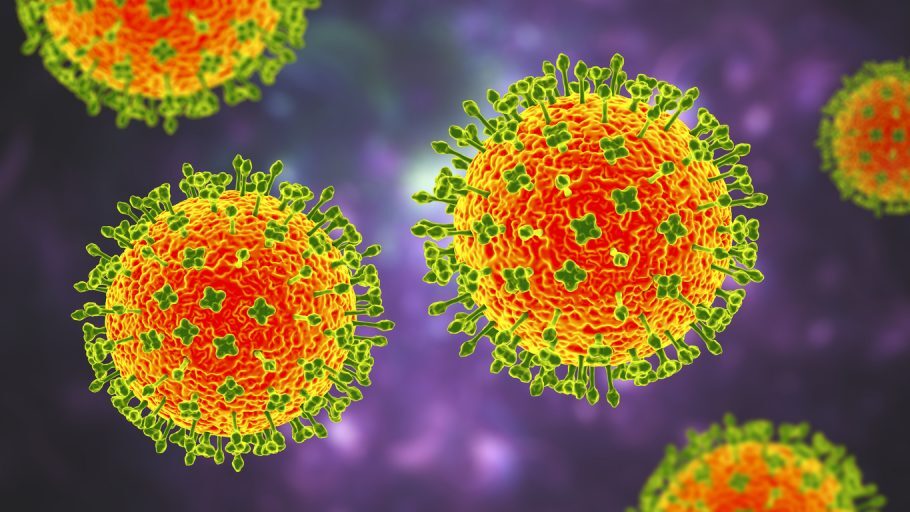 Pesquisadores temem que vírus Nipah possa gerar nova pandemia