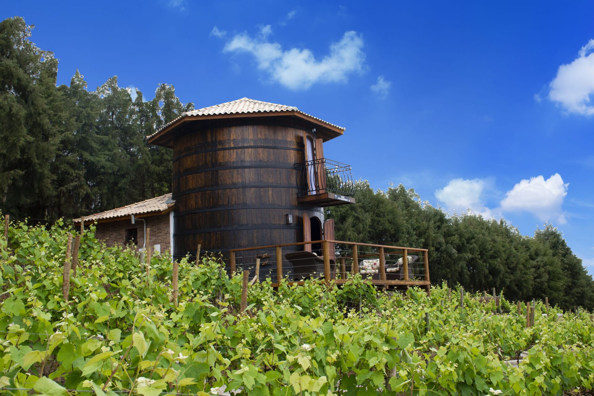Tonéis de vinho se tornam opção inédita de hospedagem na Quinta do Olivardo