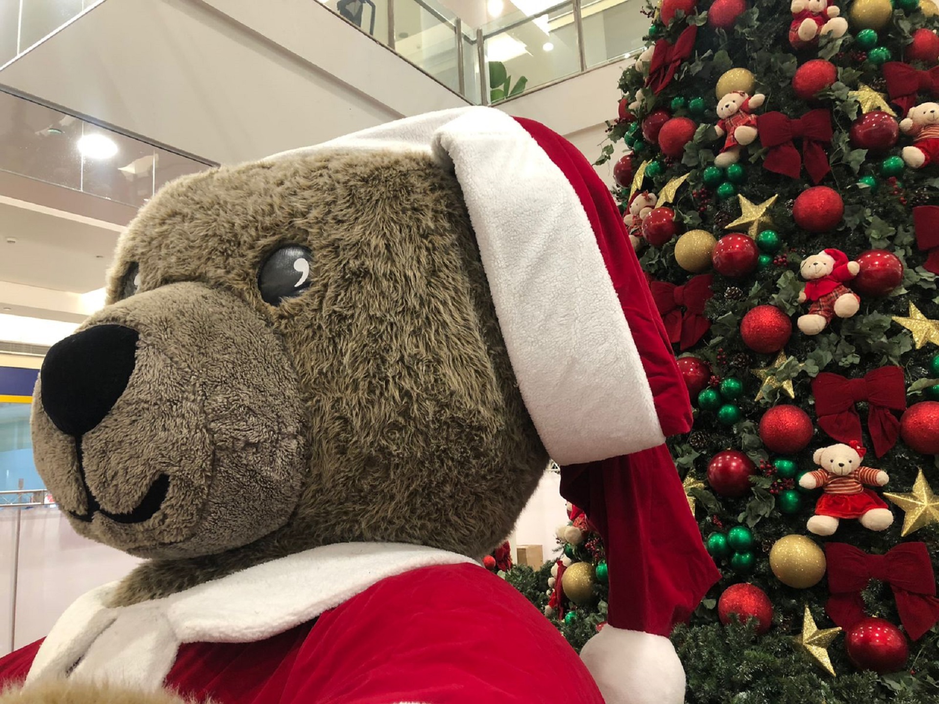 Natal do Bem” do Golden Square Shopping traz trenzinho do Papai Noel e urso  gigante instagramável