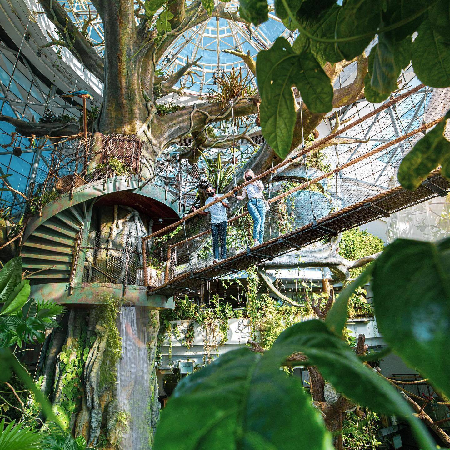 Interior da Green Planet, uma floresta tropical com mais de 3 mil espécies de plantas