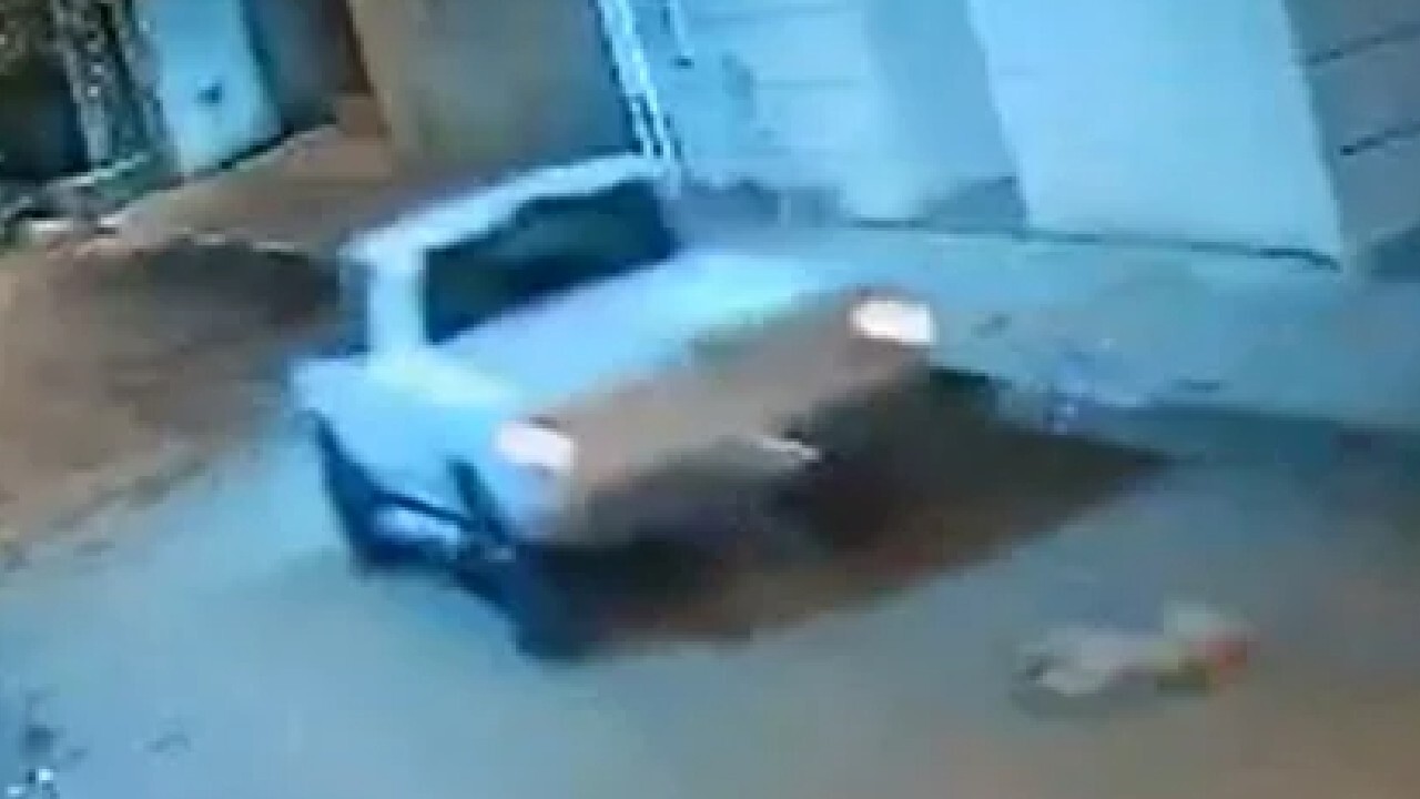 Motorista persegue, atropela e mata cadela no DF; veja vídeo