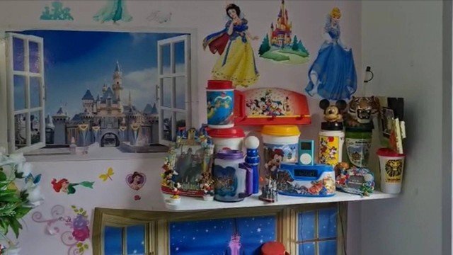 Engenheiro preso em Niterói (RJ) tinha ‘quarto da Disney’ para estuprar crianças
