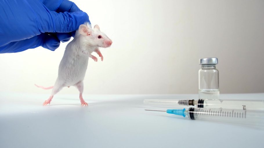 vacina rato alzheimer
