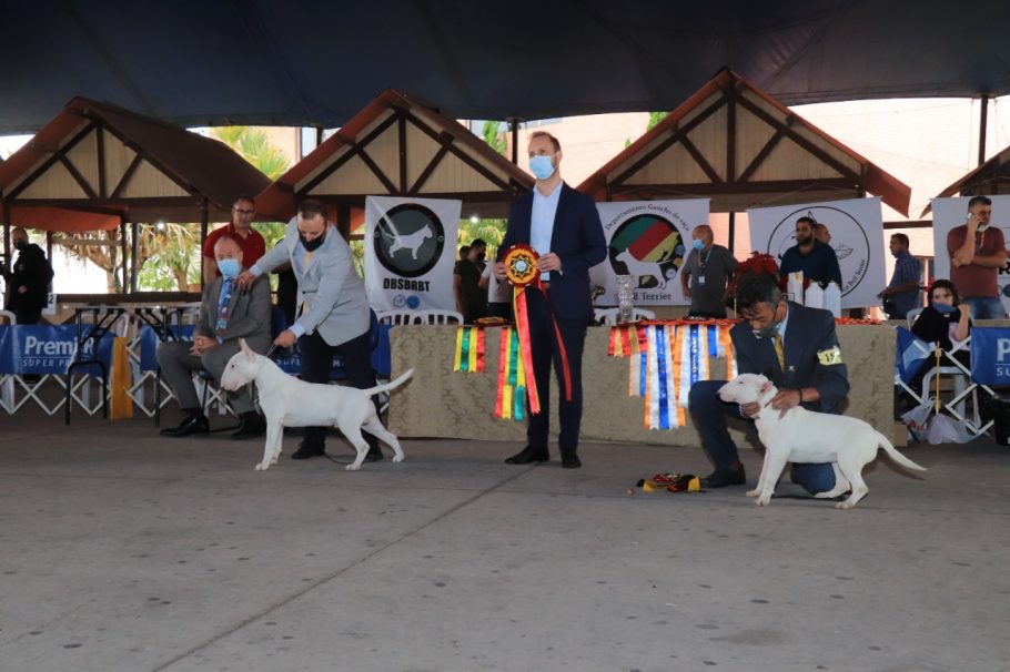 Encontro promoverá concursos e desfiles com cães de várias raças. Foto: Divulgação.