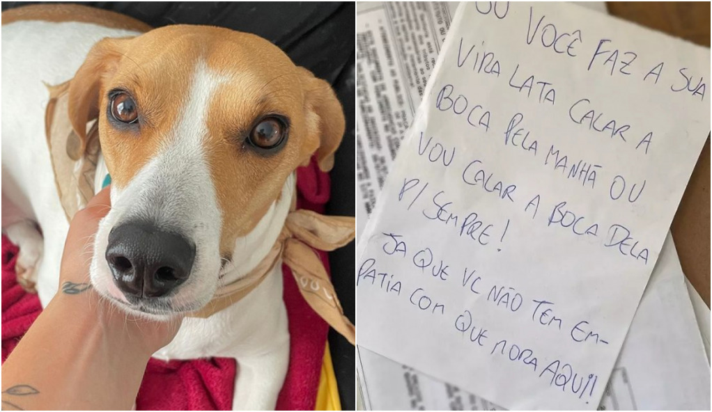Vizinho pede 'empatia' ao ameaçar matar cadela em SP