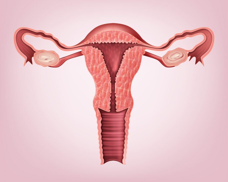 Na gravidez ectópica, é mais comum que o feto nesses canais finos