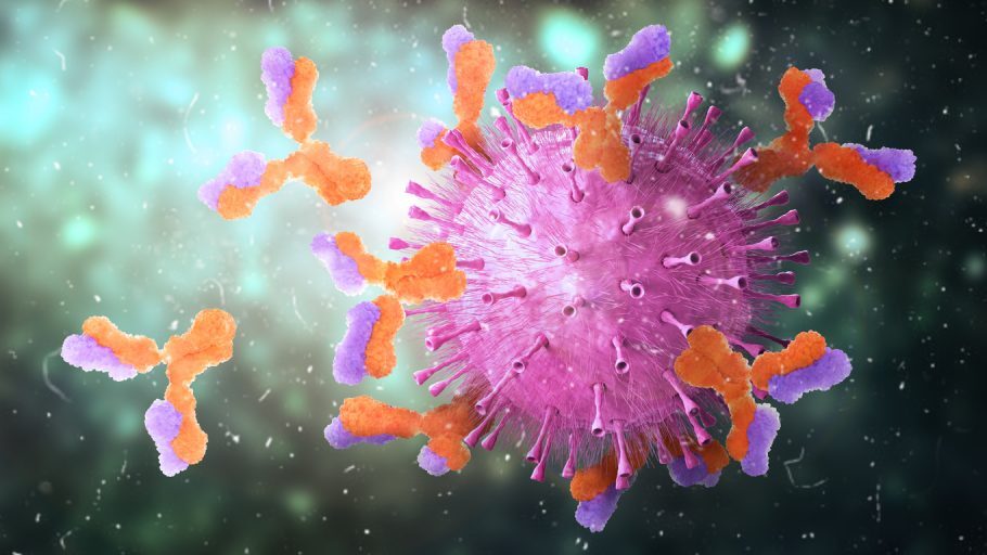 Células T desenvolvidas na gripe podem proteger contra a covid-19