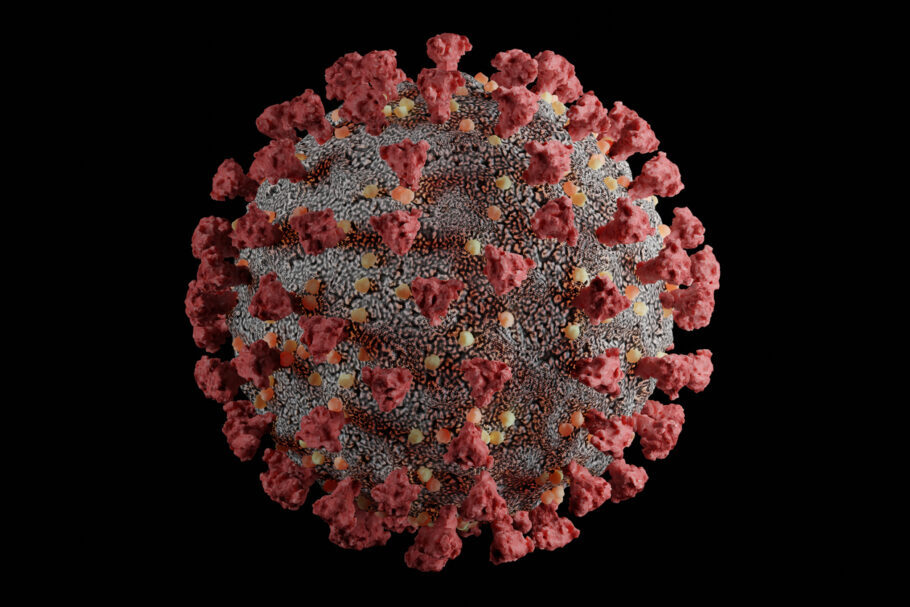  Pesquisadores alertam para novo tipo de coronavírus
