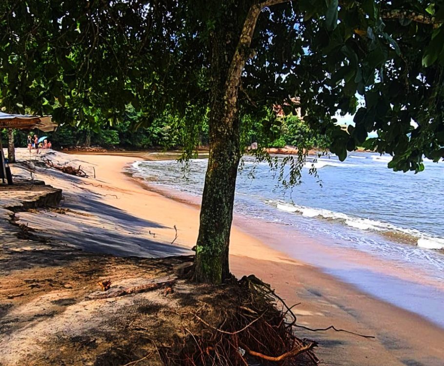 Praia da Cocanha é uma das mais tranquilas de Caraguatatuba
