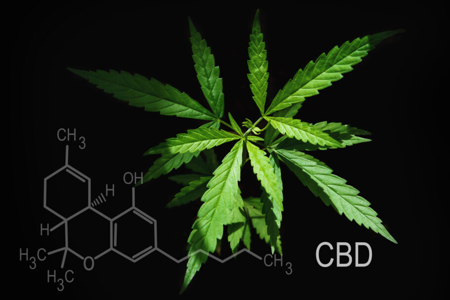  Anvisa libera mais três produtos derivadas da Cannabis