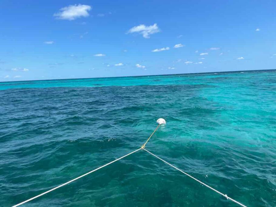O ponto para o snorkel: o mar é azulzinho
