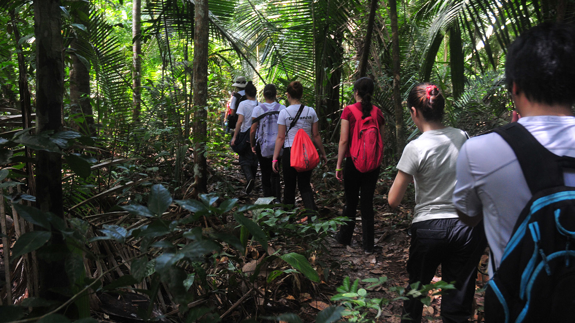Caminhada na floresta é um dos passeios oferecidos pelo Juma Amazon Lodge