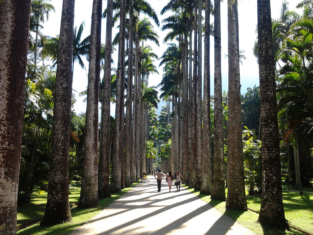 O Jardim Botânico do Rio de Janeiro está entre os mais instagramáveis do mundo