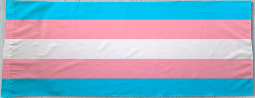 “Por uma grande parte da minha vida, eu cantei com voz feminina sem me identificar enquanto mulher trans, porque eu nem sabia o que era transexualidade”