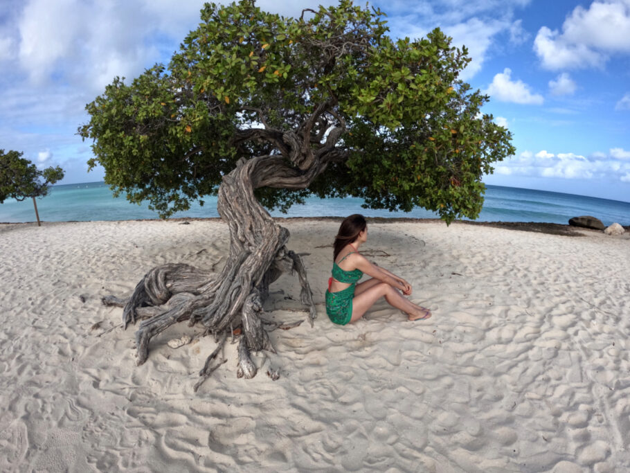 Eagle Beach é a melhor praia para ver as famosas árvores tortas de Aruba, apelidadas de divi-divi