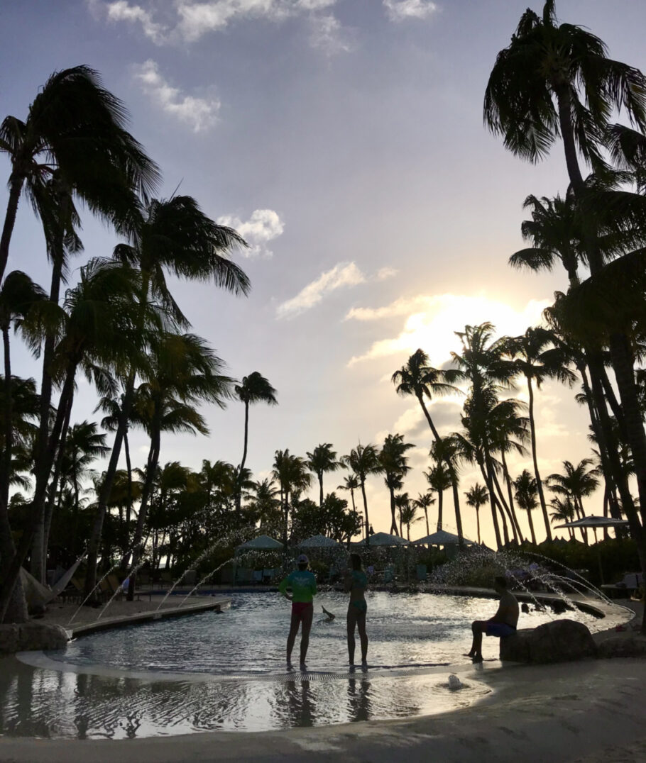 Piscinas rodeadas de palmeiras dão o clima caribenho do hotel