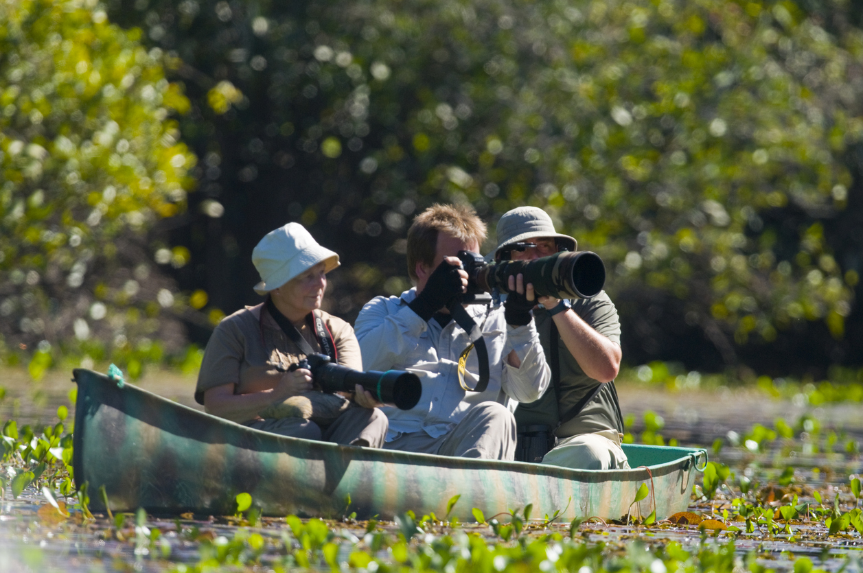 Pantanal é um dos principais destinos brasileiros para contemplar a natureza