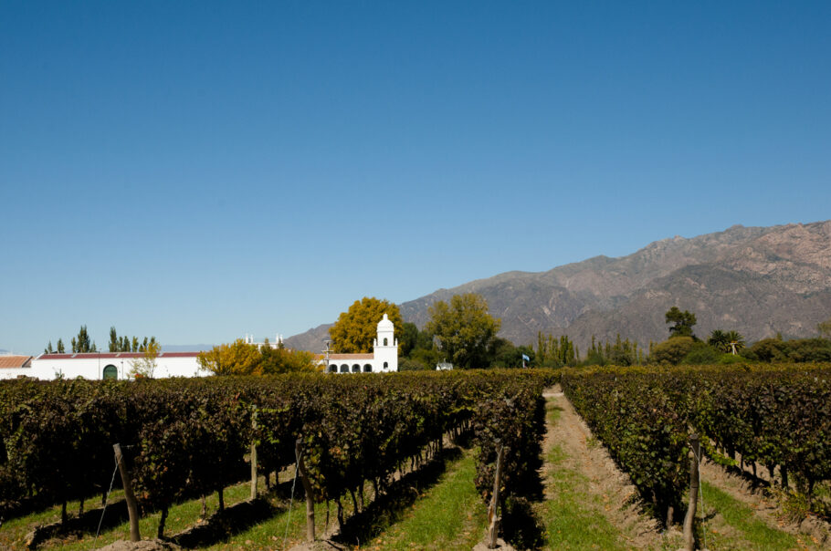 Vinhedo em Cafayate, na província de Salta, um dos polos produtores de vinho na Argentina