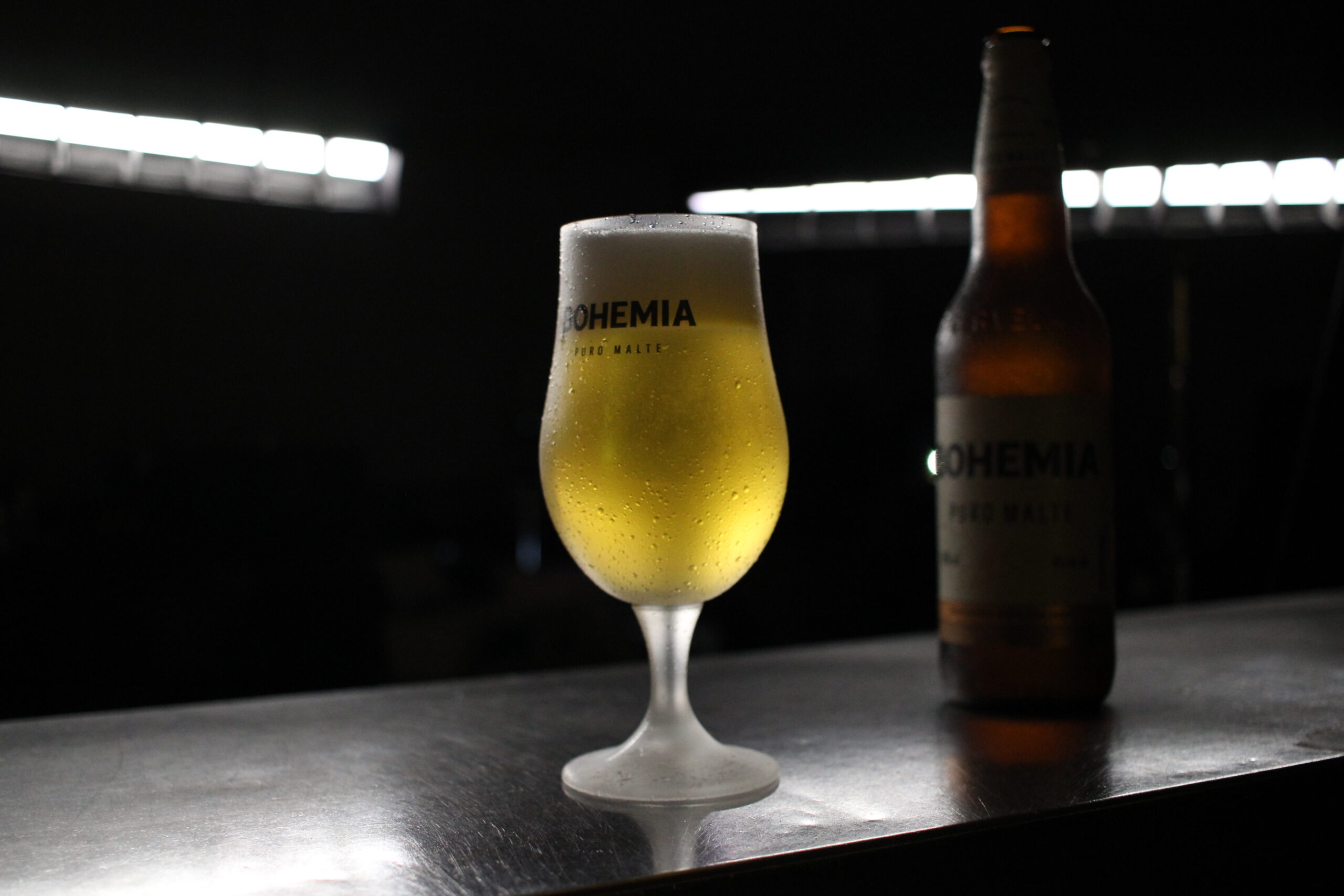 Já está mais do que na hora de você saber mais sobre o lúpulo, o principal tempero da cerveja, essa bebida tão querida por nós brasileiros