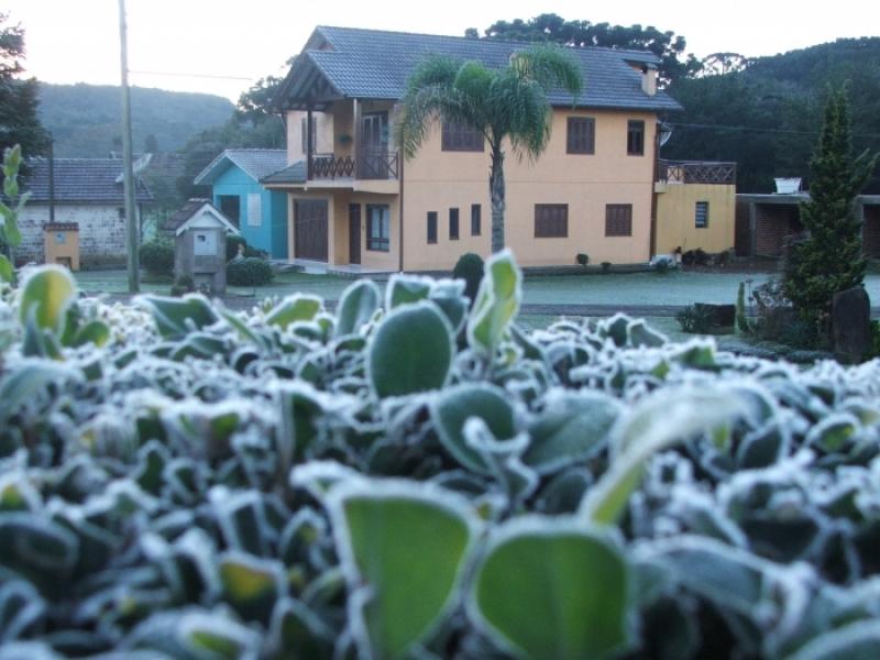 Vegetação coberta com camada de gelo em Nova Petrópolis, na Serra Gaúcha