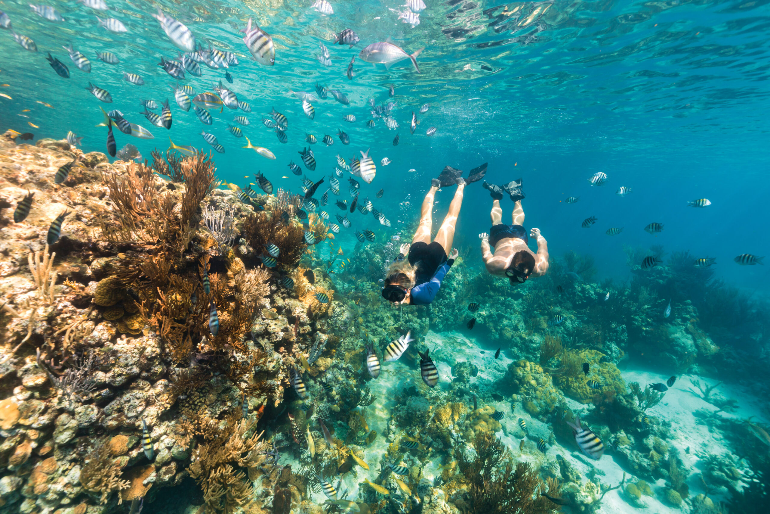 As Bahamas têm a terceira maior barreira de corais do planeta
