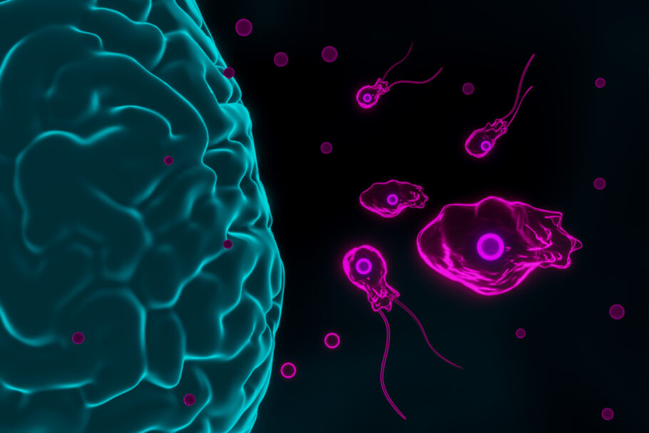 Homem morre após contrair ameba comedora de cérebro