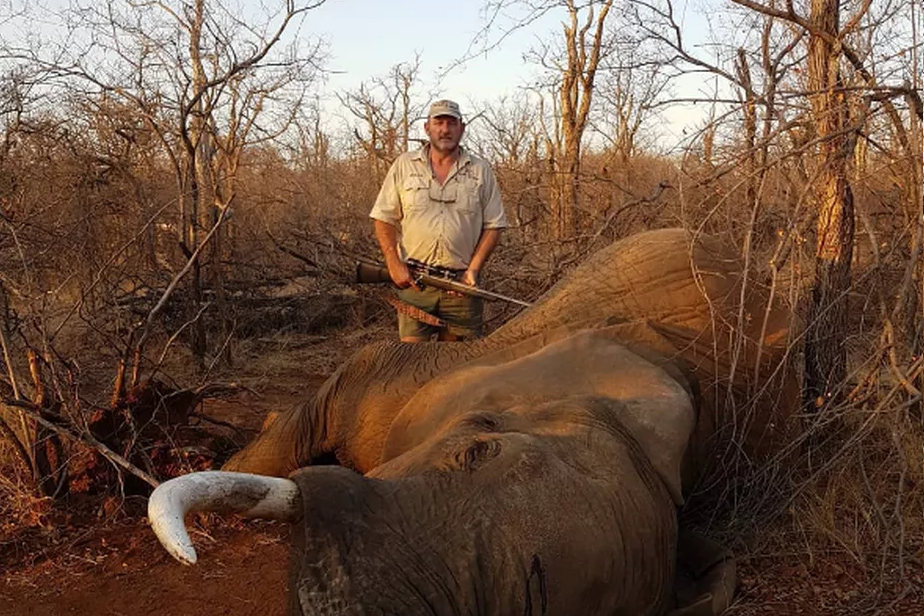 Caçador de leões e elefantes é morto a tiros na África do Sul