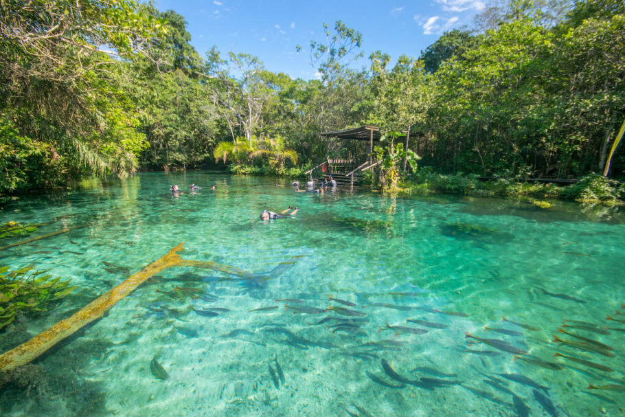 A flutuação na rio Nascente Azul é uma das experiências mais incríveis em Bonito (MS)