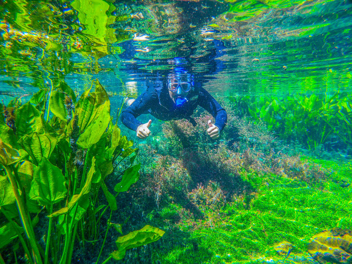 A flutuação na rio Nascente Azul é uma das experiências mais incríveis em Bonito (MS)