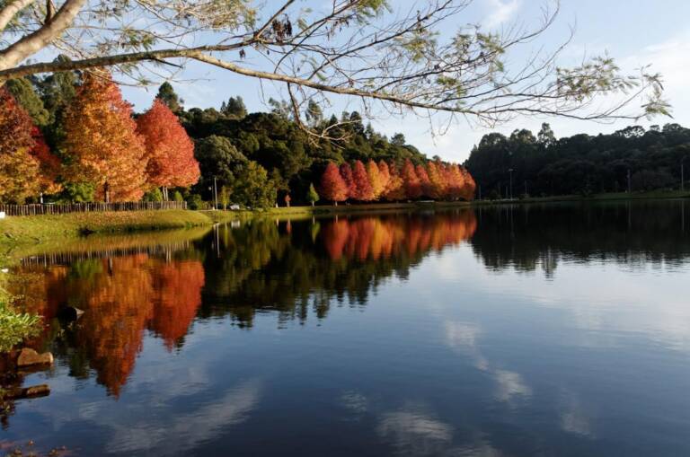 Rota Romântica: saiba tudo sobre o roteiro na Serra Gaúcha