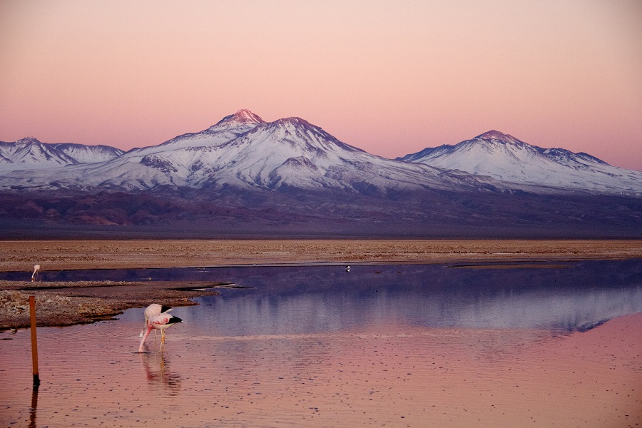 Deserto do Atacama, o mais seco e alto do mundo