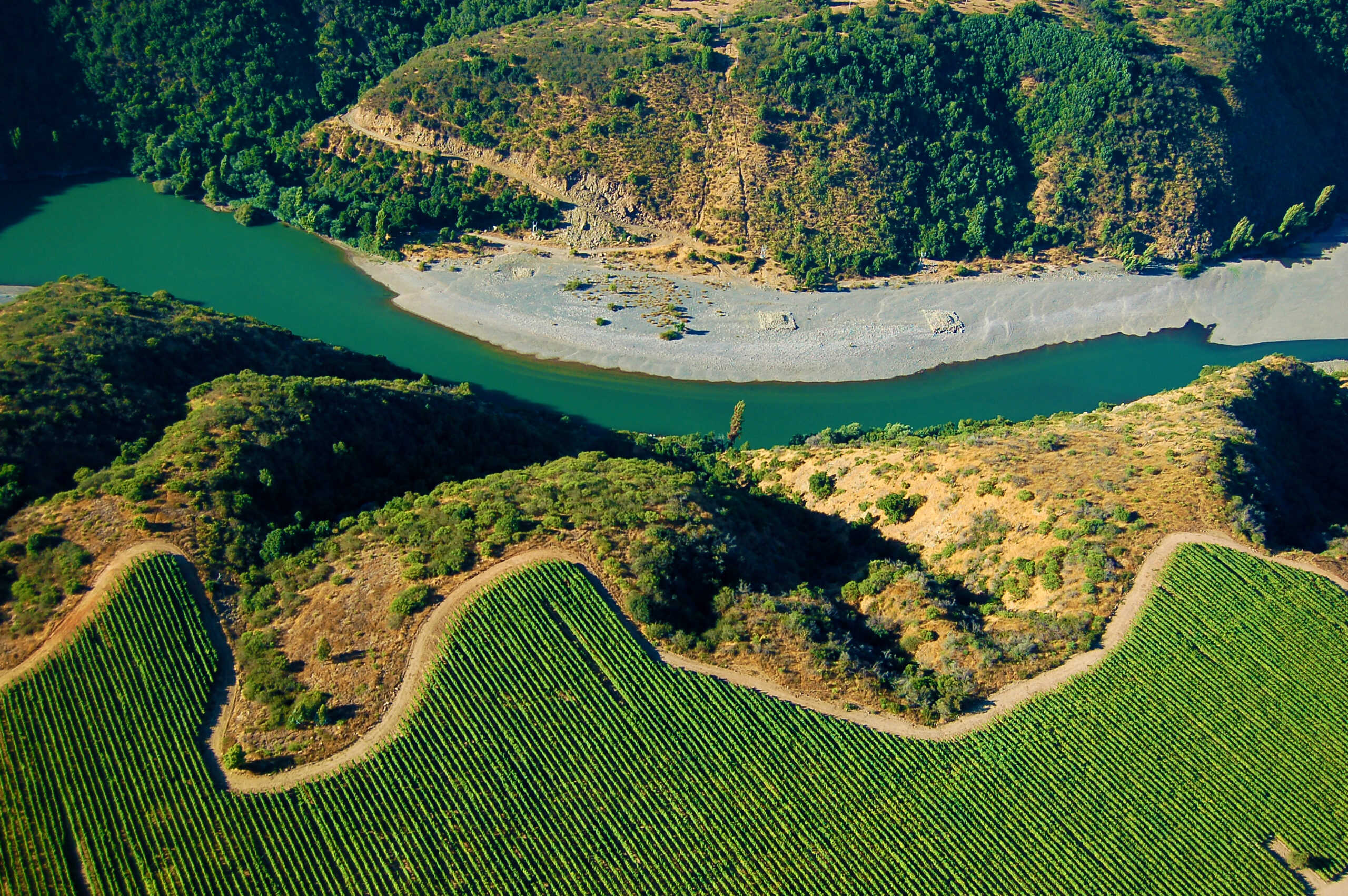 Localizado às margens do rio Rapel, o vinhedo Ucúquer conta com condições privilegiadas para produção de vinhos brancos e tintos frescos
