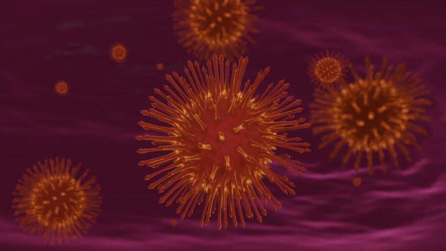 Vírus Marburg é parente do Ebola e causa doença grave