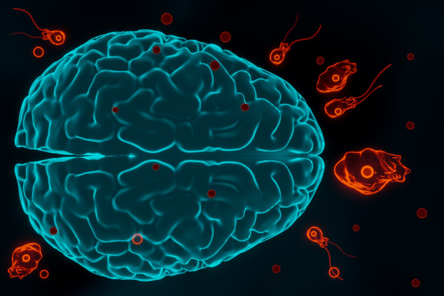 Criança morre com suspeita de infecção por ameba comedora de cérebro