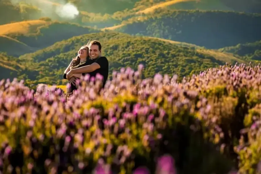 Lavandário é uma das atrações de Cunha